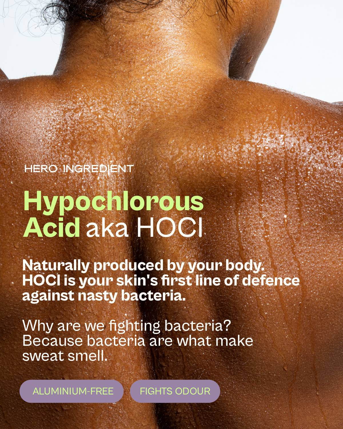 Pitt Stop: Santal + Bergamot